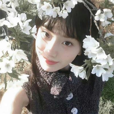 志愿军：浴血和平
